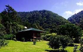 Lemon House Monteverde